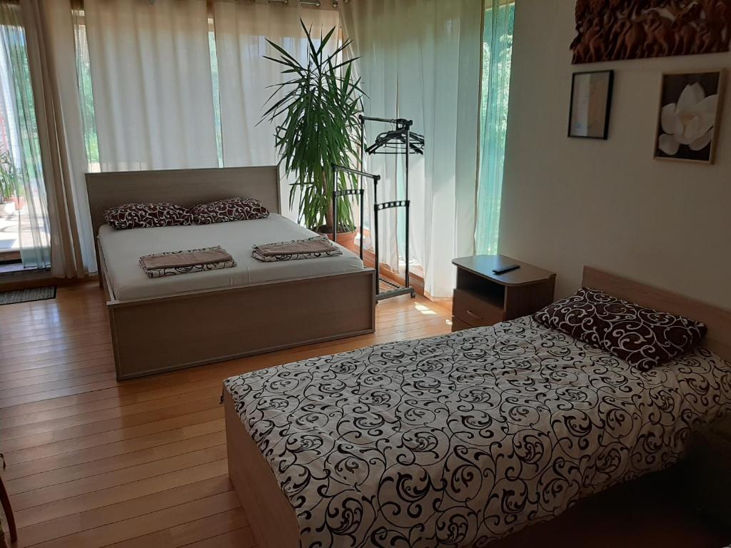 Apartamentai Luna room 1
